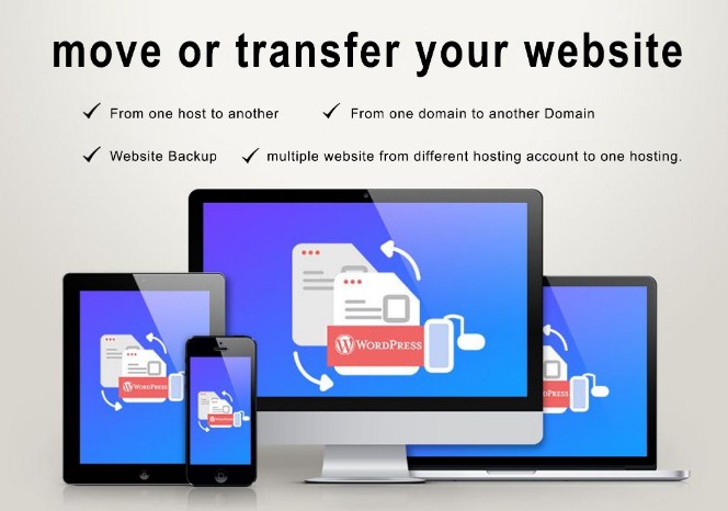 Website Transfer